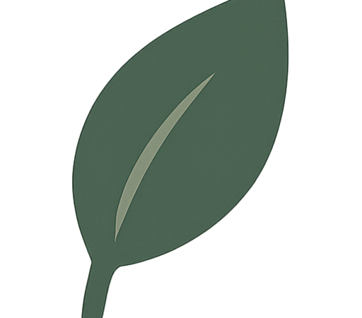 Comment se démaquiller sans coton ? 5 alternatives testées et approuvées