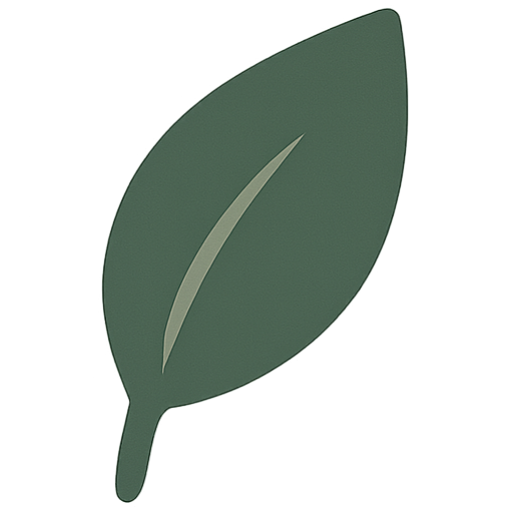 Comment se démaquiller sans coton ? 5 alternatives testées et approuvées